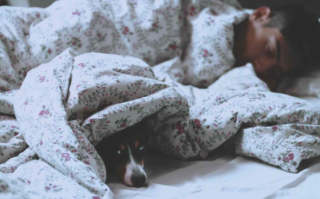 Obstructive Sleep Apnea: Tips Rancho Cucamonga Dentist