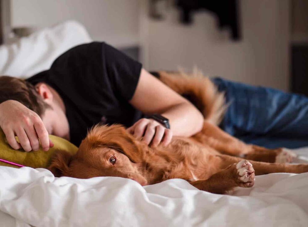 Obstructive Sleep Apnea: Tips Rancho Cucamonga Dentist