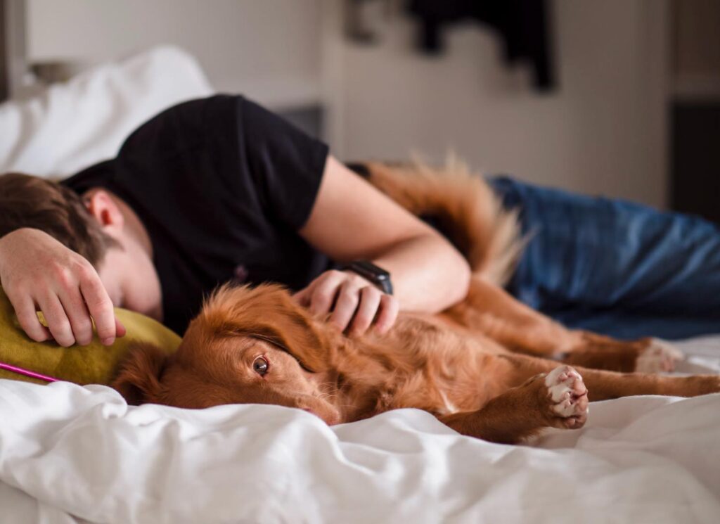 Dentist Rancho Cucamonga CA