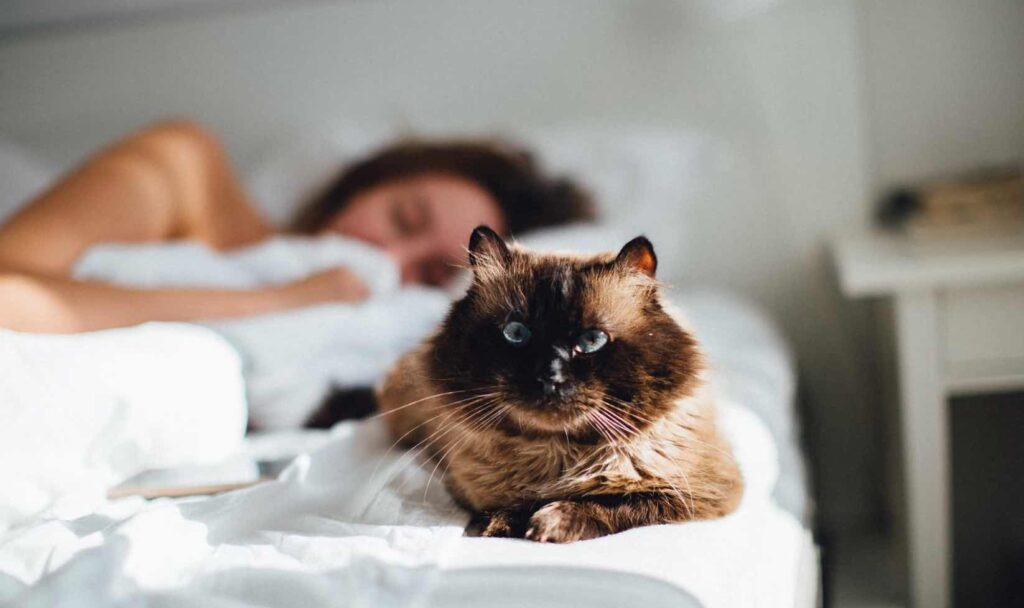 Sleep Apnea | Dentist Rancho Cucamonga CA