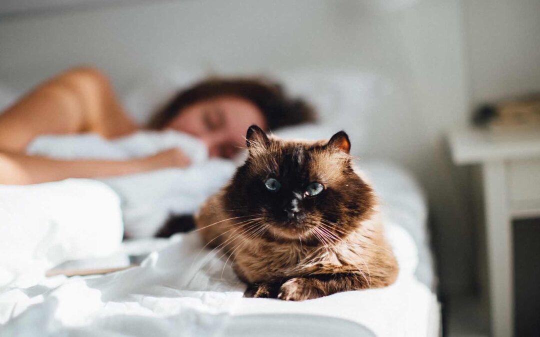 Optimizing Rest: Effective Sleeping Positions for Managing Sleep Apnea